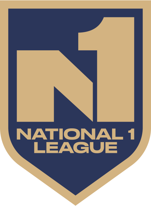 N1 1